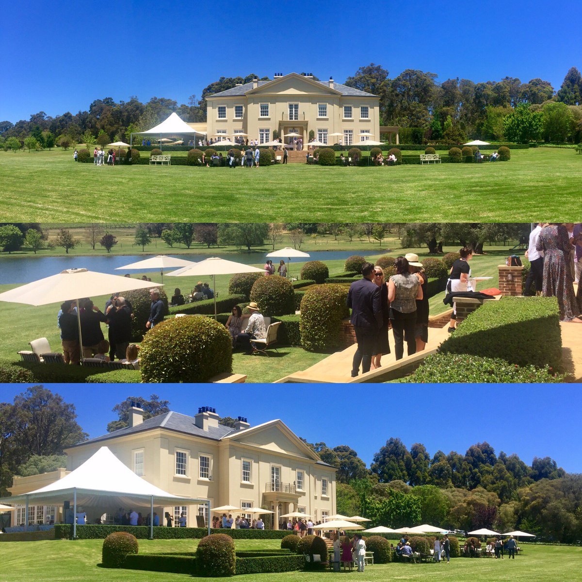 Live view from #frasergallopestate. Gourmet Escape Long Table Lunch 2016.