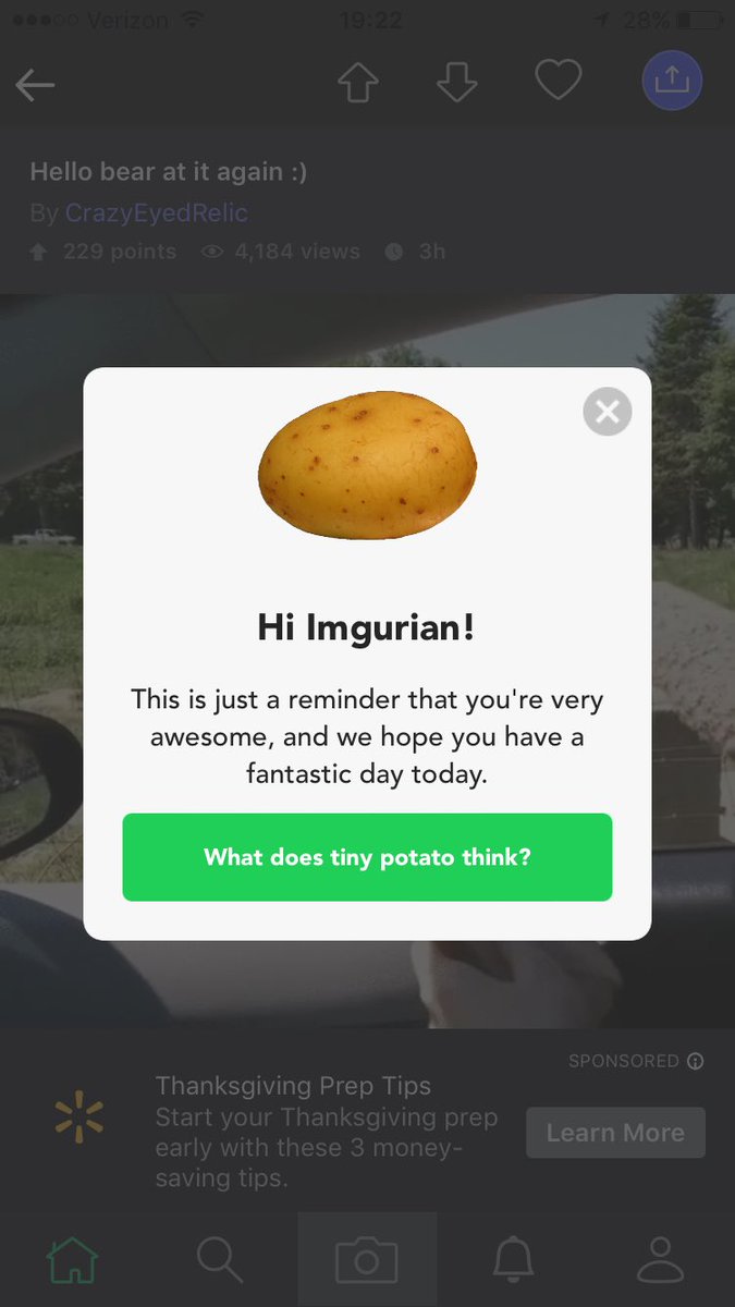 PA77ICUS's tweet image. It&apos;s like #imgur knows I&apos;m from #idaho .... sorry for potato quality