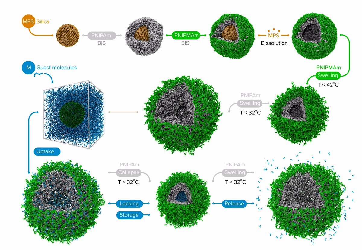 PSMT_Lab's tweet image. #2016PSMTpapers "Could multiresponsive hollow shell–shell nanocontainers offer an improved strategy for drug del..."
futuremedicine.com/doi/full/10.22…