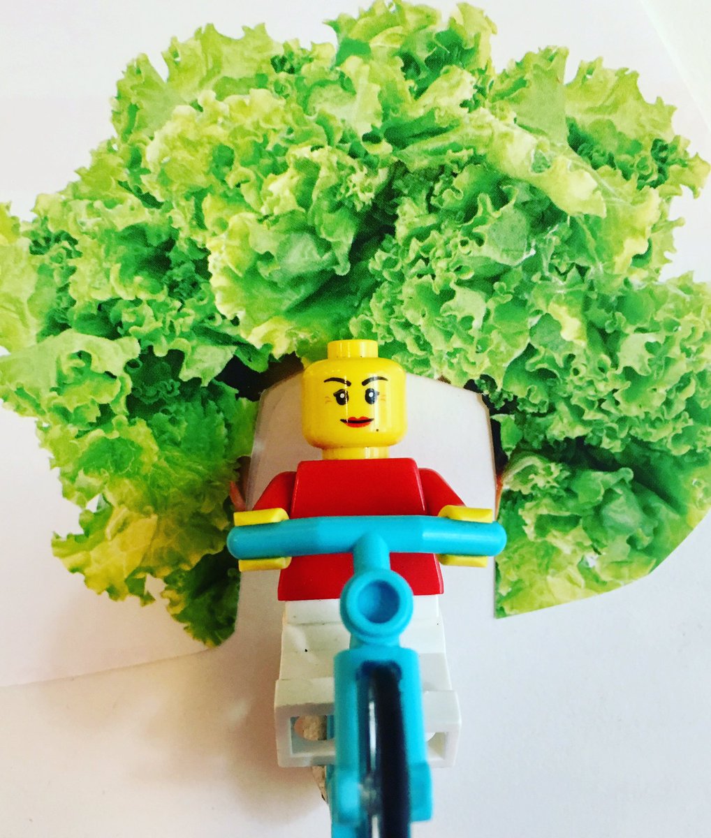 anne_desmet's tweet photo. Introducing: the veggie helmet! #veggie #cycling #helmet https://t.co/Q1xc7hQS0J