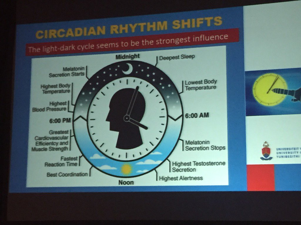 Good summary of jet lag challenges by Dr Christa van Rensburg. Differentiates travel fatigue from jet lag.