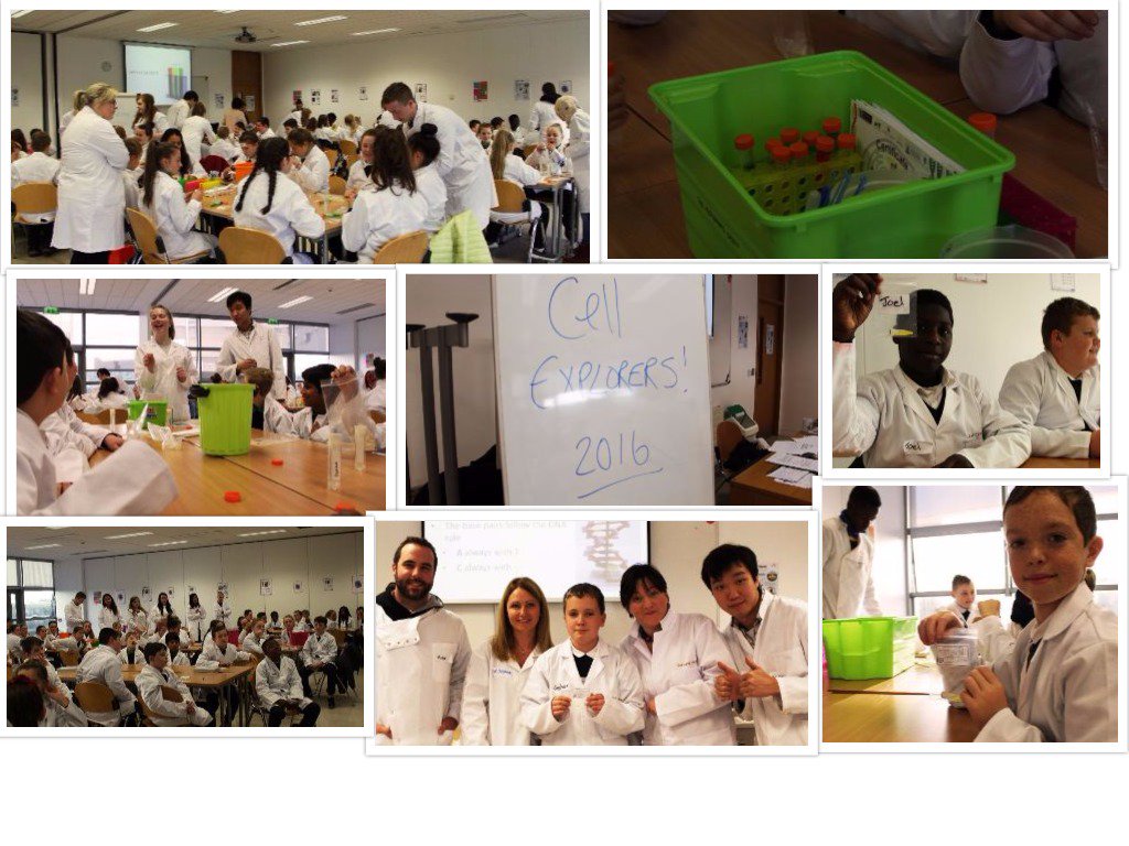DkIT_ie's tweet photo. Cell EXPLORERS Fantastic DNA! Roadshow came to DkIT this week for Science Week 2016! #ScienceWeek2016 #ThinkDkIT https://t.co/iIatDZMoKE