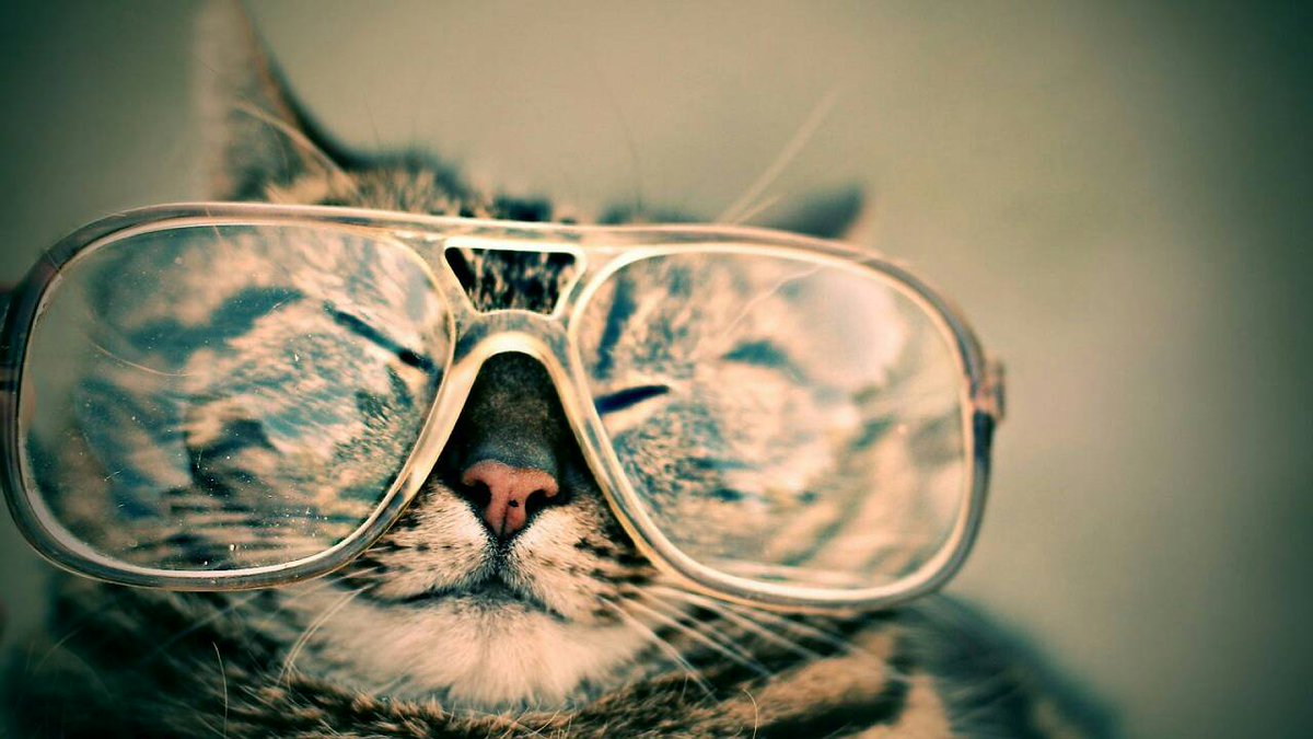 Job Opportunity : Are you a Reverse Engineer ? One of our valuable Chapter Supporter #GoogleMtl is looking for you : ow.ly/6kgZ306iOru