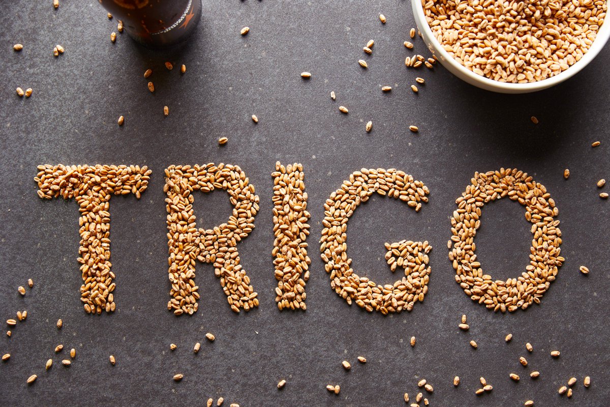 inedit's tweet photo. El trigo da cuerpo, suavidad y cremosidad a Inedit, y aporta notas afrutadas y florales... Da un trago, cierra los ojos.... ¡y disfruta! https://t.co/atfEiP0S1N