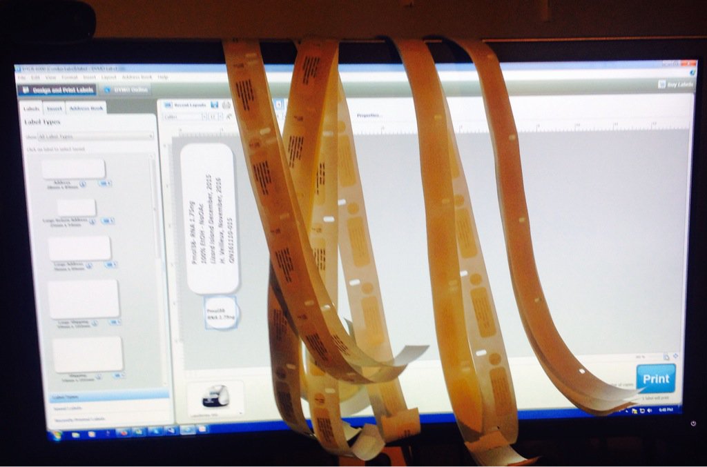 _seachange's tweet image. Sometimes Friday nights are for label making #LifeOfScientist  #microcentrifugetube x 200 #thuglife