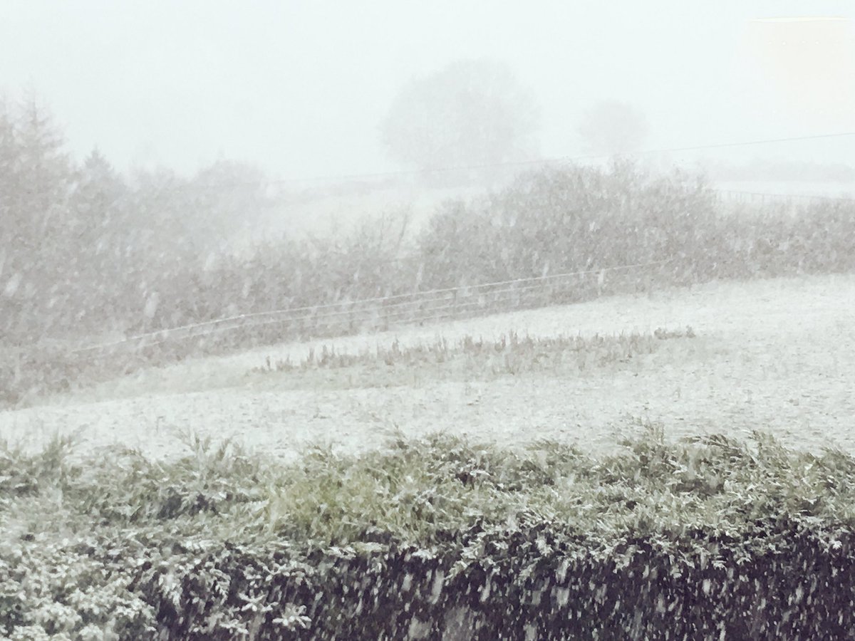Opened curtains early &amp; it's good morning from #Somerset ☃️❄️☃️