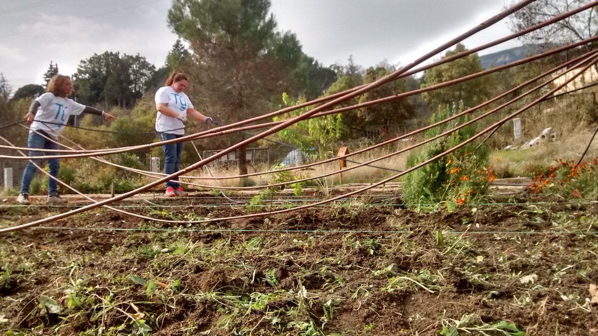 territoriosvivo's tweet photo. Voluntari@s de @GrupoTragsa, @InterxionSpain y @pfizer_spain con #proyectorios y con la huerta ecológica territoriana en #Miraflores https://t.co/ErXUoDrV6h