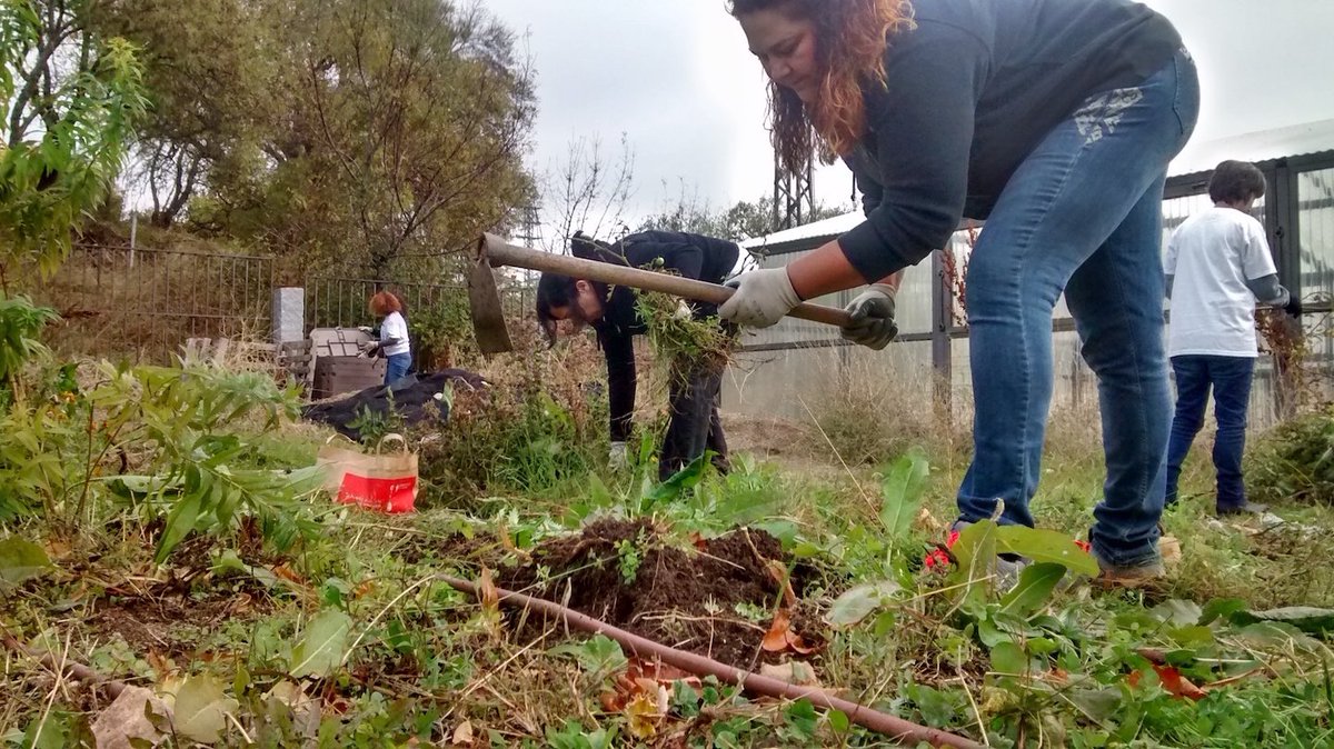 territoriosvivo's tweet photo. Voluntari@s de @GrupoTragsa, @InterxionSpain y @pfizer_spain con #proyectorios y con la huerta ecológica territoriana en #Miraflores https://t.co/ErXUoDrV6h
