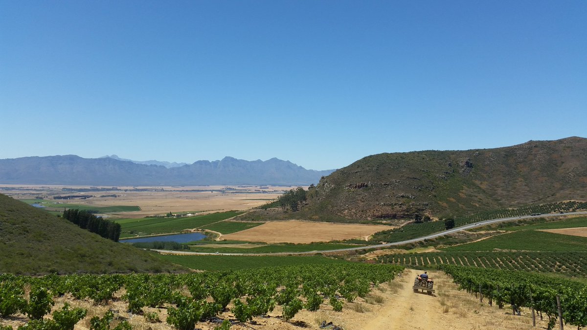 winecoza's tweet photo. Another incredible setting, this time tasting in @Kloovenburg's vineyards. @Swartland have spoilt us! #SWR30 https://t.co/spCS81DA9j