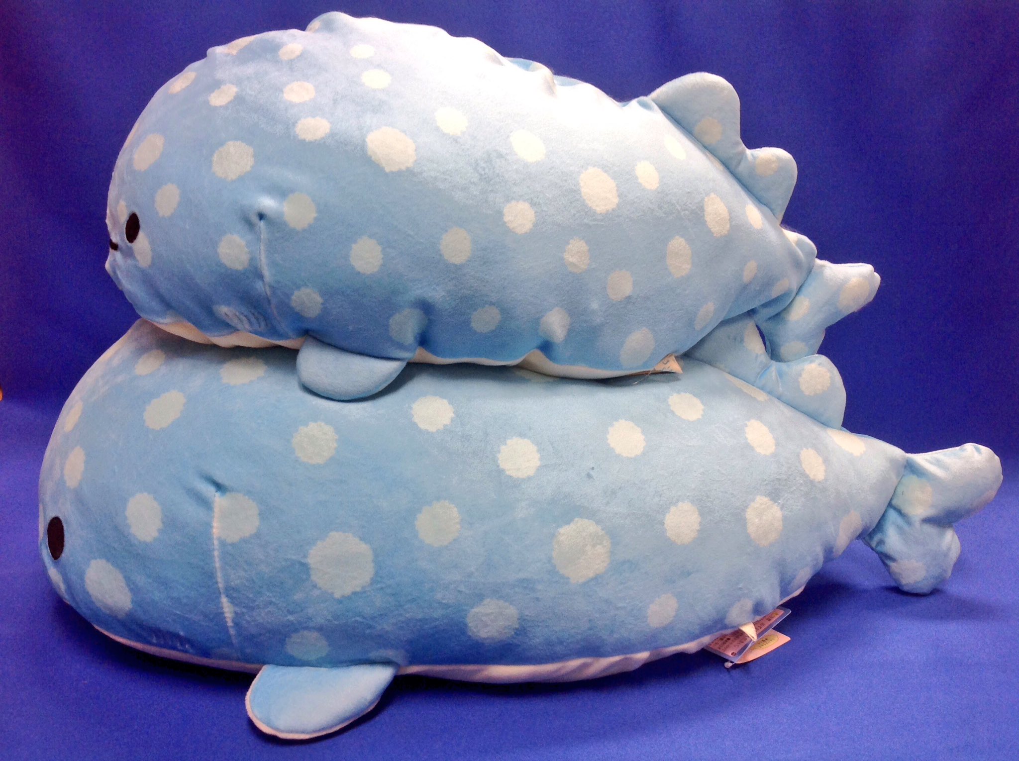 玩具と文具 あさだ على تويتر 新発売 じんべえさんのスーパーもーちもちシリーズ ぬいぐるみs ぬいぐるみm 口開き 特大抱きぐるみ 一度触ると手放せなくなる気持ちよさ 特大抱きぐるみの上に抱きぐるみ ぬいぐるみsとぬいぐるみm口開きの間にこまくらを置い