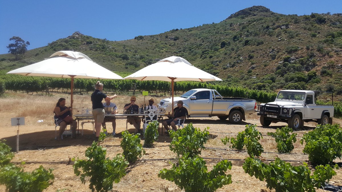 Beautiful setting, beautiful wines #Swartland #Weskus <a href="/planetswartland/">Swartland Tourism</a> <a href="/CapeWestCoast/">rdot</a> #swr30 <a href="/Kloovenburg/">Kloovenburg Estate</a> . Be jealous. You're welcome!
