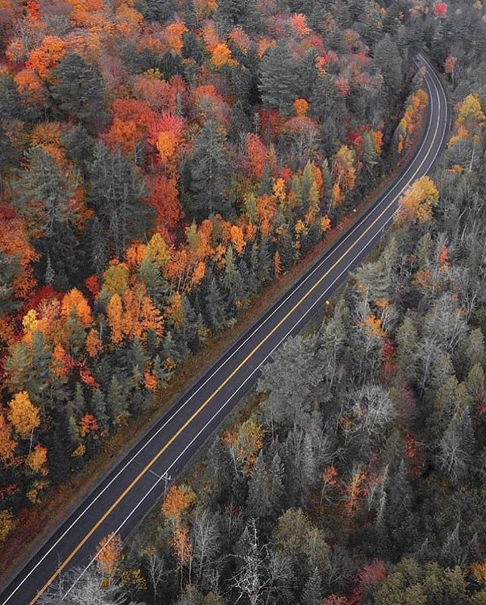 L515GP's tweet photo. Los colores del #otoño Norte de #NuevaYork 
#Autumn #NewYork https://t.co/mTLm8HujKP