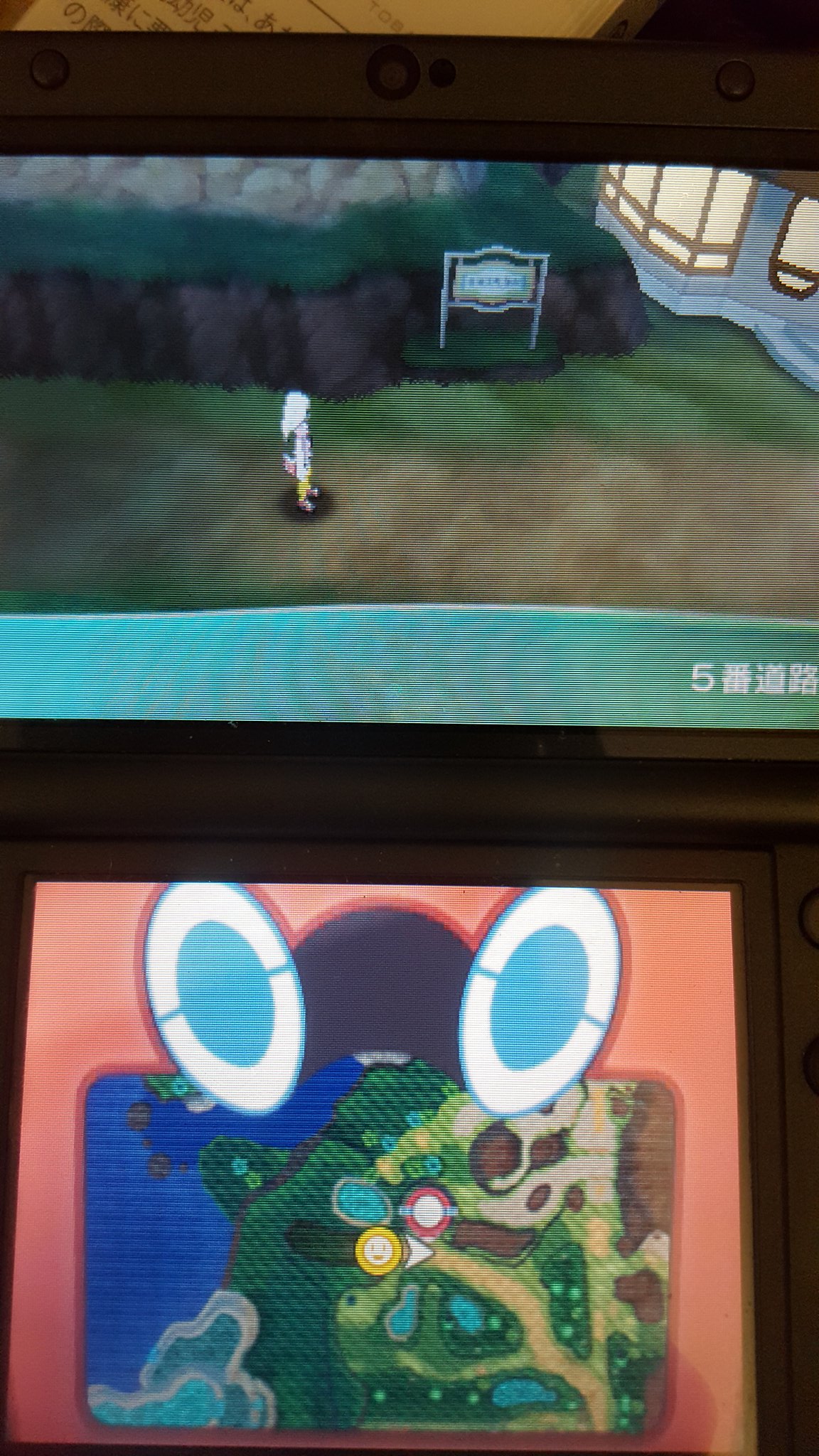 なつあ ヒンバス は５番道路からせせらぎ丘に入ってすぐのところにある釣りポイントに低確率で出るみたいです 釣りポイントから気泡のようなものが沸いてる時でないと出ないようなので１度釣りをしたらマップを移動して入り直すとまた泡が沸いてるので