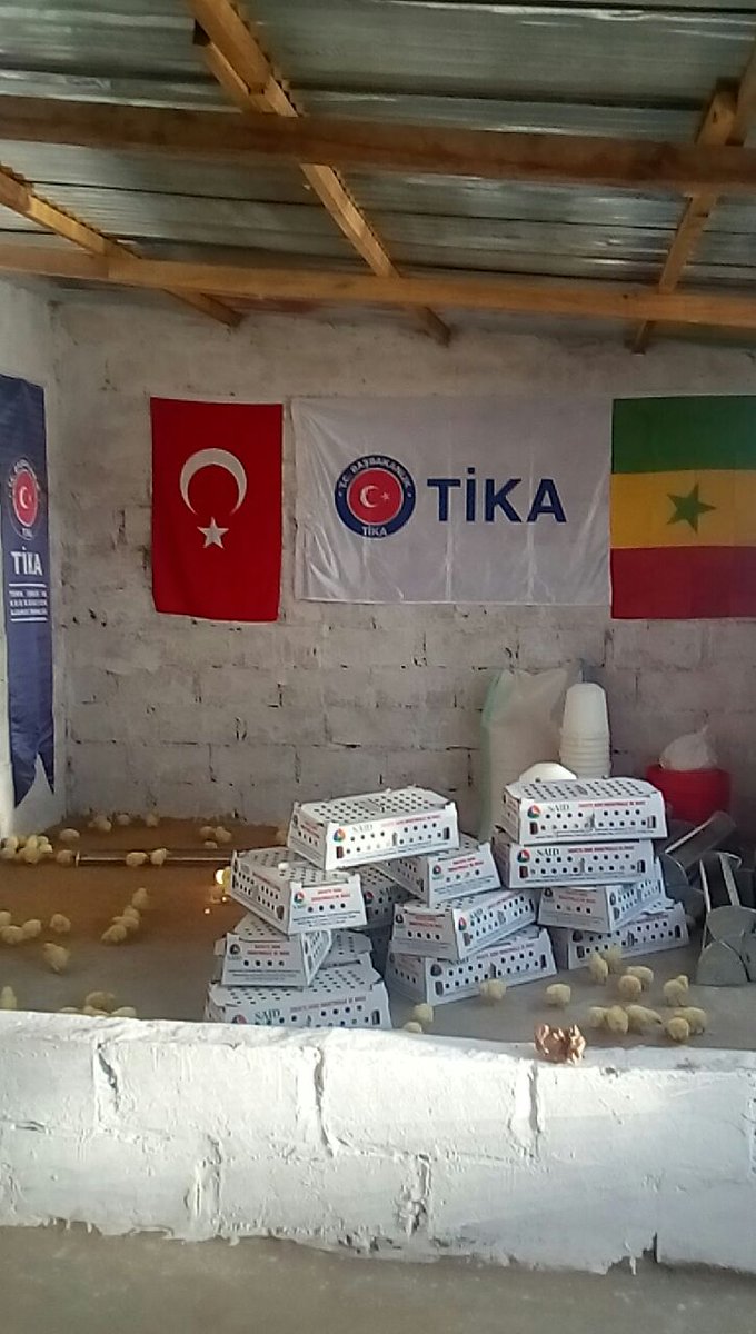 Tika Dakar On Twitter Un Poulailler A été Construit Et Octroyé Par