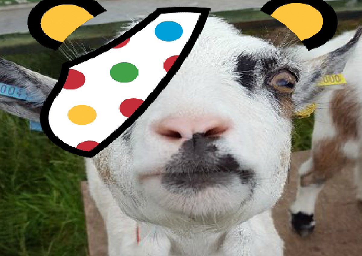 varndeangoats's tweet photo. @SarahMillican75 @BBCTheOneShow Morning. Not being pushy or anything, but y'know, a RT would be nice. #GoatsInSchools #doingitforthekids https://t.co/vJ9EBG76u2