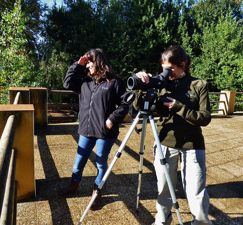 Colaboración <a href="/alphadventure/">Alphadventure</a> y <a href="/AMUS_1/">AMUS</a> para vestir a profesionales con ropa técnica especializada 👕 #AMUS #SOSfauna 👍 bit.ly/2fb5M0r