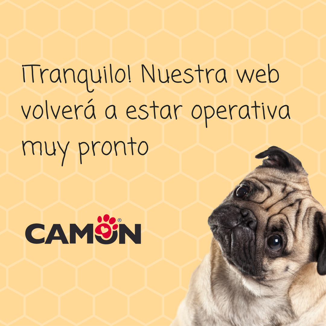 CamonSpain's tweet photo. Por problemas técnicos la web no estará operativa este #finde, prometemos arreglarla pronto. Mientras tenéis #Fb: https://t.co/Uq2p0n8PDX https://t.co/w3NVWeCNCh