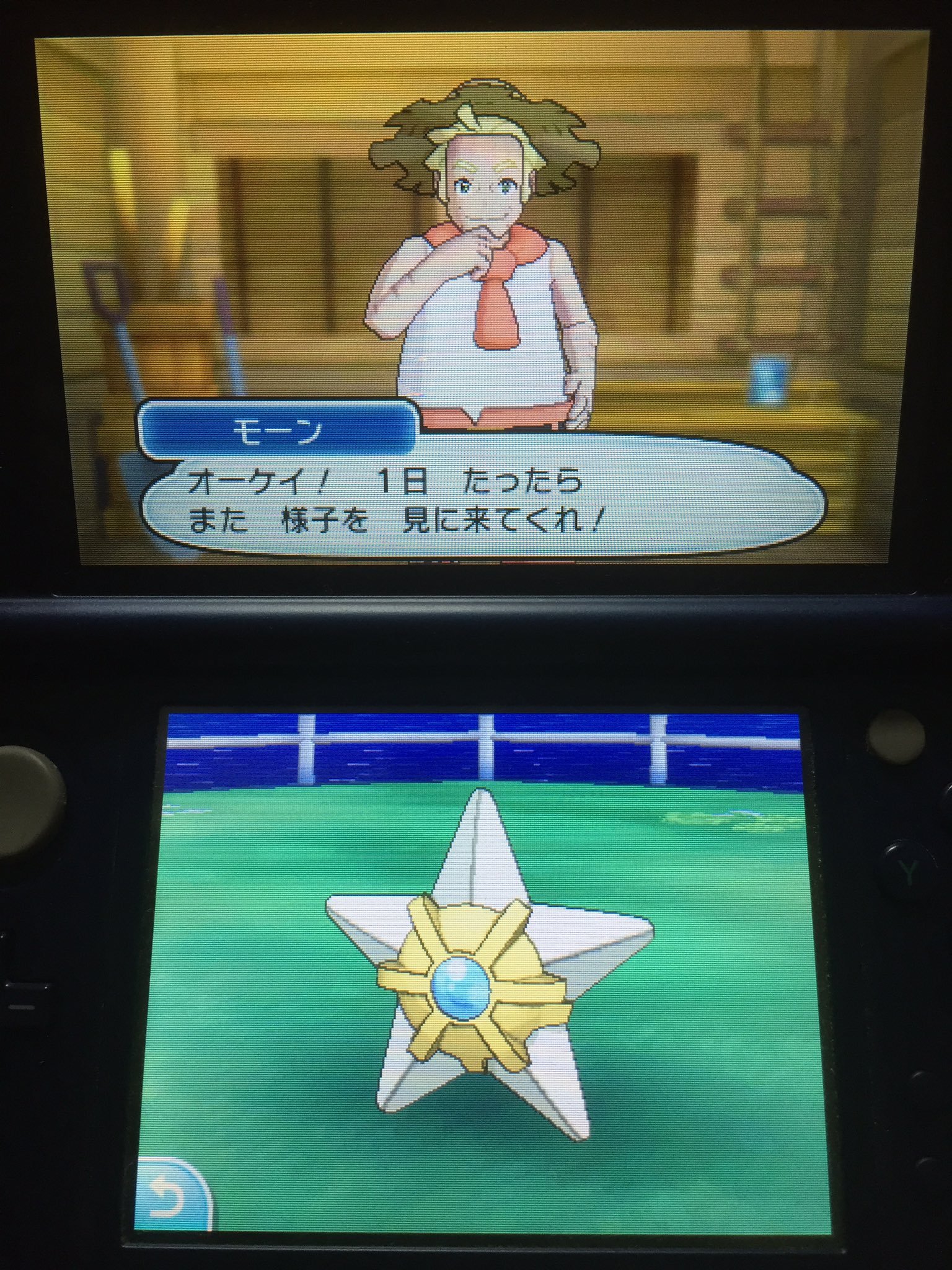Hadzime ポケリゾートにも色違いは出現するっぽい サンムーン T Co 2bihdzzfxi Twitter