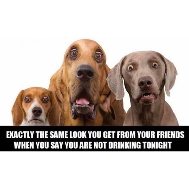 TheReservoirAleHouse tweet media