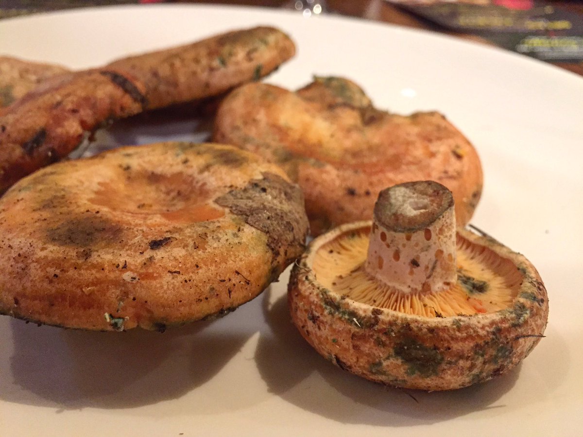 Ayer estuvimos en las Jornadas #SetasyPitu de <a href="/Rest_Del_Arco/">Restaurante Del Arco</a> #Oviedo. El menú aquí: delarco.com