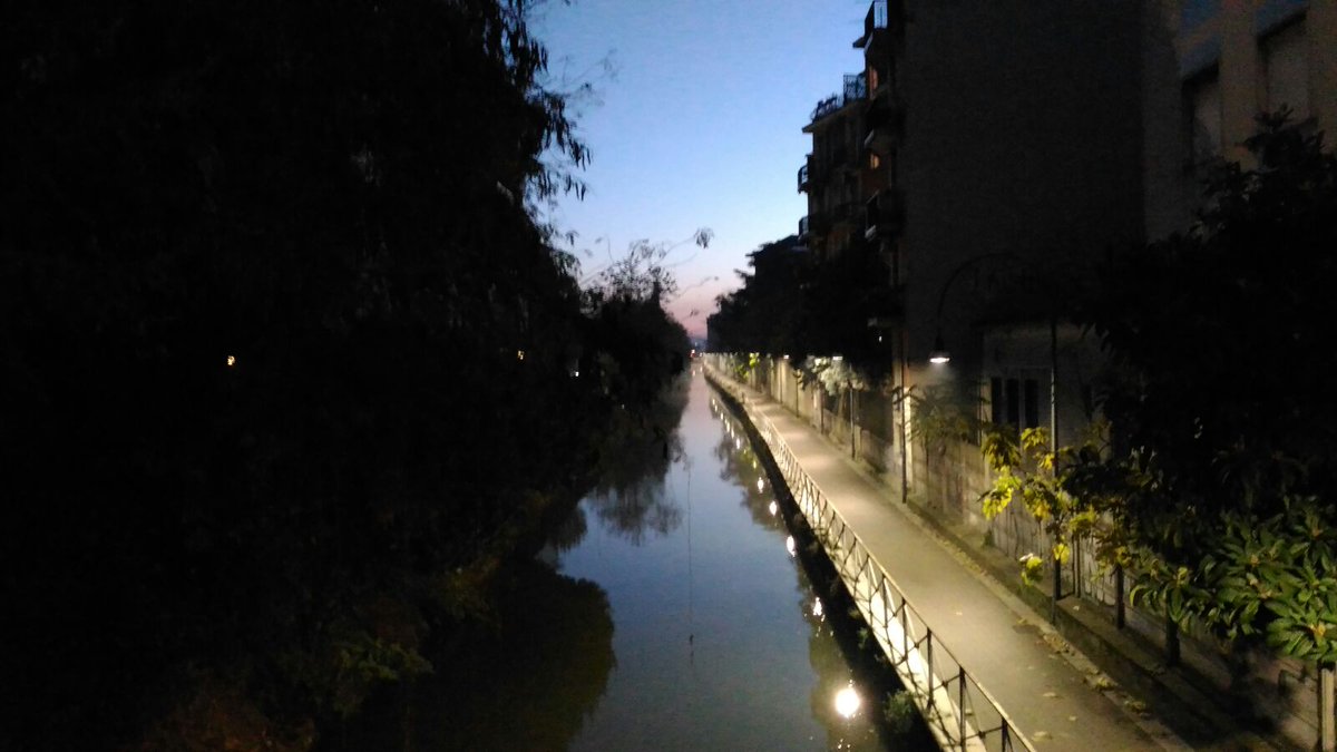 GiarPetalDorati's tweet photo. Il silenzio del mattino.
Naviglio Martesana (MI) https://t.co/niDpwRhSOL