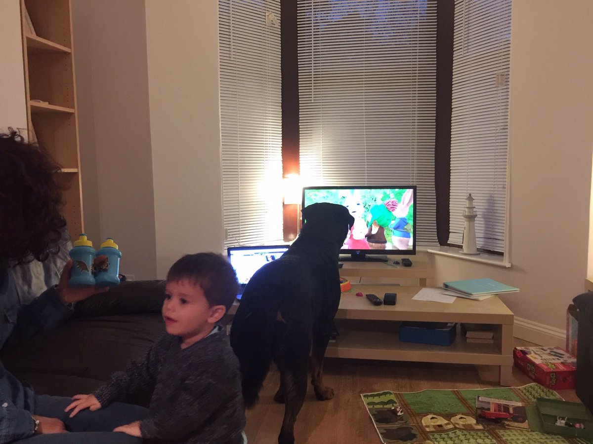 suggs_andicfc's tweet photo. Mums put Peter Rabbit on for the grandchildren! Sod them! https://t.co/OcOTqnTsdi