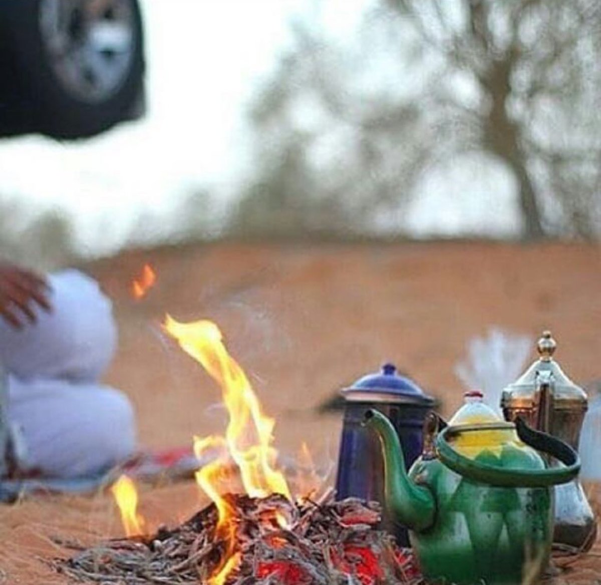 محلا شُبوب الرّمث والبال منساح
وشوفة مسايير ٍ تدور العلامي
..
ضو ٍ تحدّث فوقها كل مزاح
ربعٍ على عسر الليالي كرامي!!

#راكان_حثلين