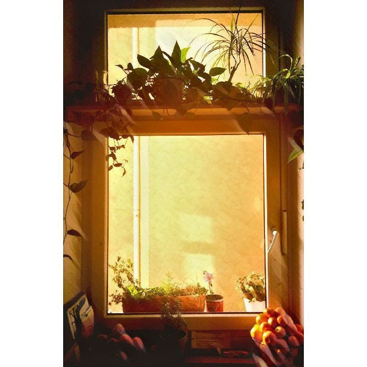 The_GoodDude's tweet image. Fenster zur Wand! #magiceffect #igershh #hamburg #pauli #hh #igersgermany #vsco #weshowhh … ift.tt/2g4kq8M