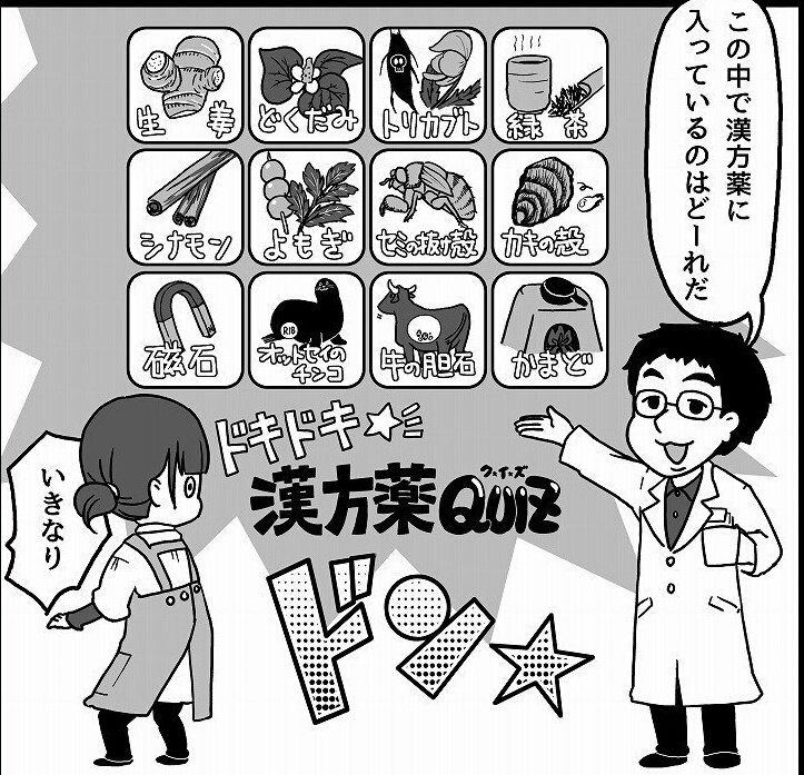 世にも不思議な漢方薬

他にも
カキのヘタ（しゃっくり止め）
ヤモリ（滋養強壮、肺の強化で咳止め）
コハク（痙攣や不眠に安定作用として）
アメジスト（不安や動悸に）

現在に残るまでに数百年、数千年と使われてきた実績と臨床例が有る… 