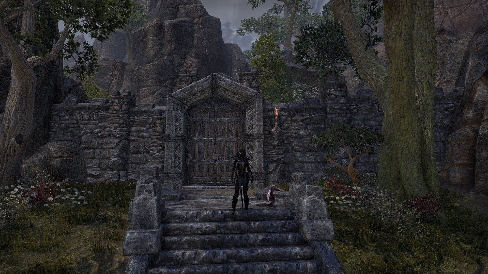 CxjCEAmXUAEx8Up.jpg:large