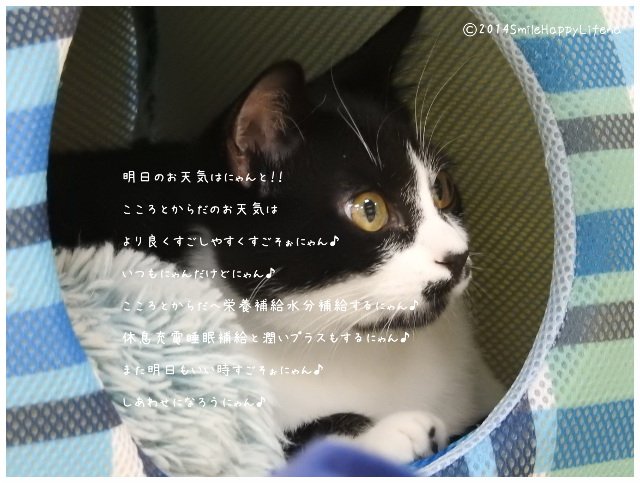 Twitterで画像を見る