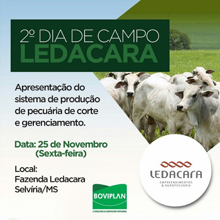 Boviplan's tweet photo. Boviplan promove 2o Dia de Campo Ledacara (Selvíria/MS) dia 25/11/16. Saiba mais em: https://t.co/RUkahu6GUm https://t.co/Ry5jxYc6WF