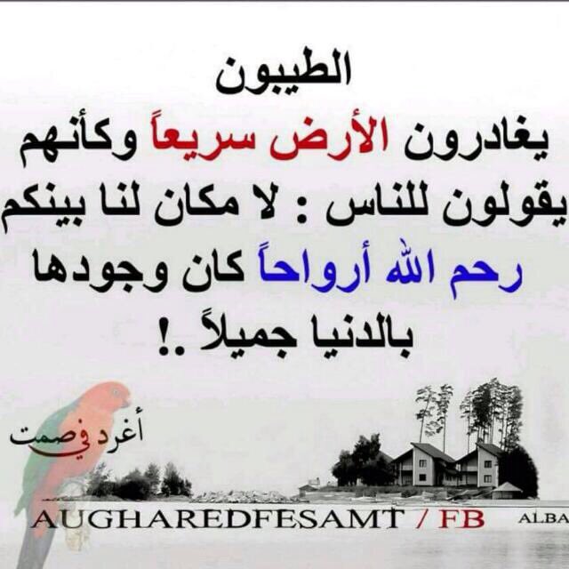 Mok (@najeeb01437) on Twitter photo 