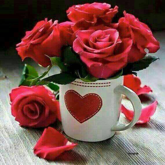 Mok (@najeeb01437) on Twitter photo 