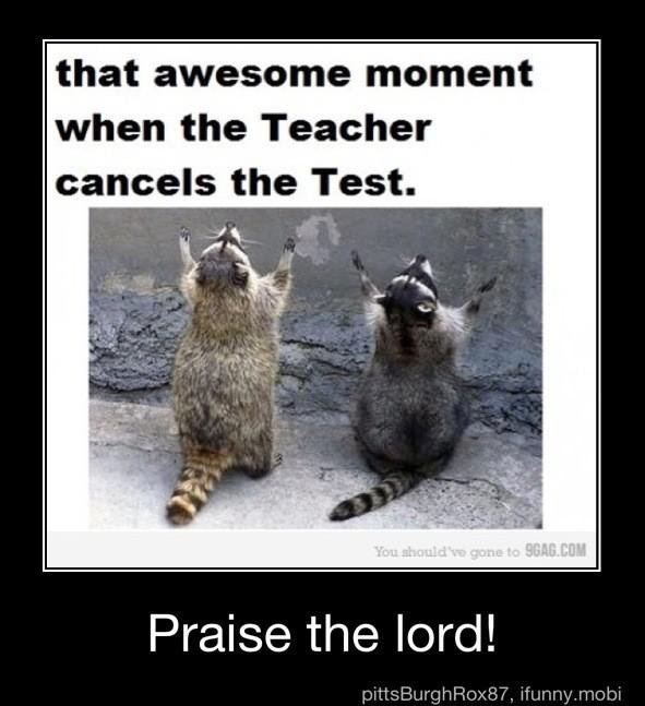 Watistattan tweet media