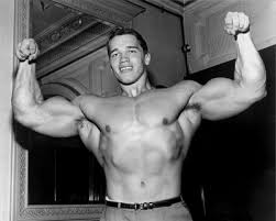 Store_Proteins's tweet photo. If you want sweet gains, you need proteins. How do you get those proteins? Through the Endoplasmic Reticulum of course! #YHSOrganelleWars https://t.co/fh9M99qR3l