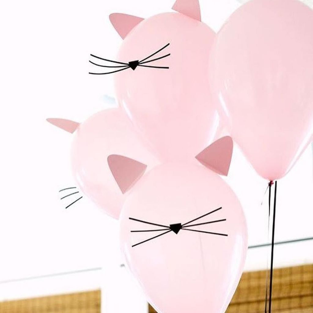 BonnieRzM's tweet image. Happy Friday! .
Yes! #vallons #pink #fashion #sphinxcat ift.tt/2f7uWtF