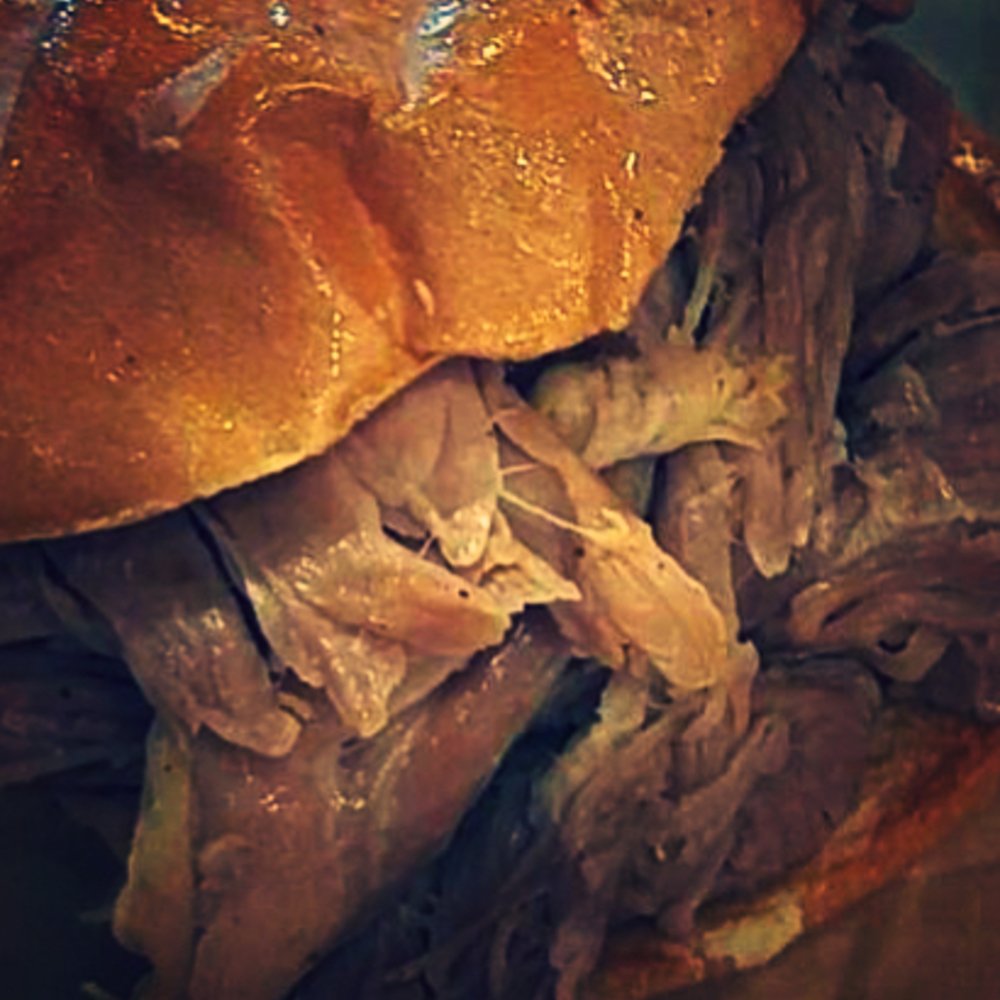 ShieldEmily's tweet image. Oh my lanta😳 @CityBarbecue @getstealz