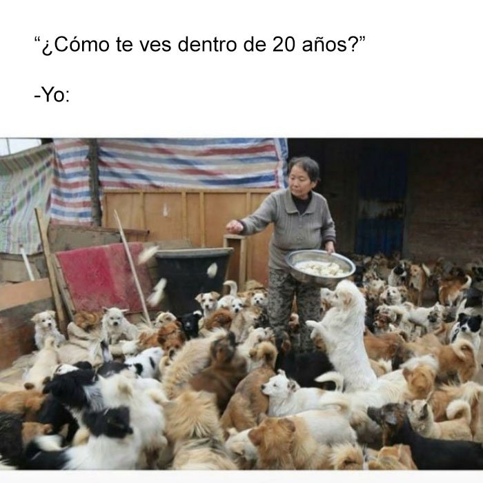 yisucrist's tweet photo. reso kada dia x alcansar sta meta https://t.co/HPaV4cjUKp
