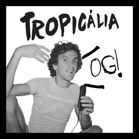 tropicaliaa's tweet photo. VIVA A BOSSA SA SA..vem organizar o movimento, a gente organiza o carnaval! @Galeria304 @tropicaliaa 
https://t.co/OzUZWj5N4Y https://t.co/P56KkWWgEQ