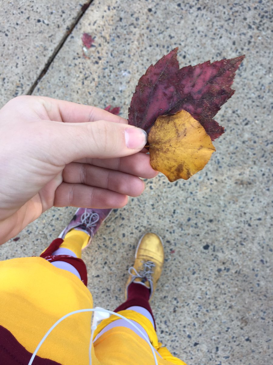 COINCIDENCE?! i think NOT! #ifGODisntAspartanEXPLAINthis <a href="/SCABRHS/">Broad Run SCA</a>