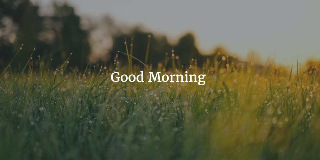 msjamiewayne1's tweet photo. Good morning!! #fabulousFriday #FABULOUS #friday #AMG #WolfKrachenfels #AnthonySnow #JamieWayne #DTEProject #HealingGPNaturally #DonaIrey https://t.co/GkNj5bBZcT