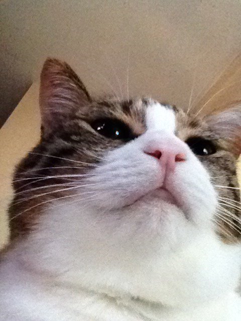 MattG124's tweet photo. When you accidentally open your front camera https://t.co/MsNuZkx6wc
