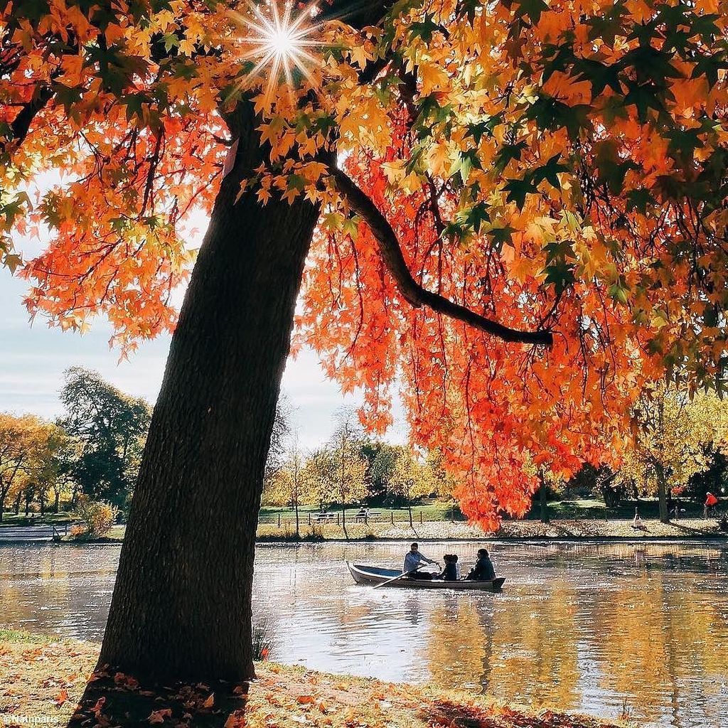 ParisJeTaime's tweet photo. Just keep rowing! 🚣
Beautiful picture @nathparis #Paris #Parisjetaime #Parigi #visitParis … https://t.co/vsA83mTWjV https://t.co/29iQgayRGB