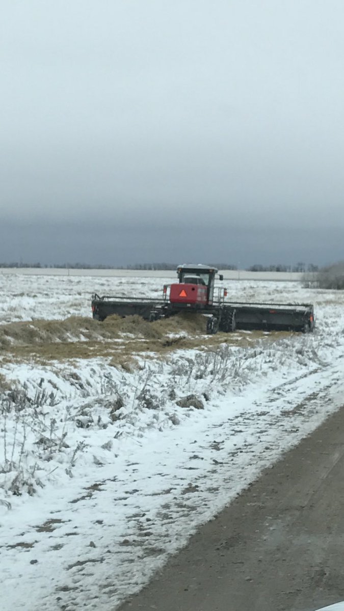 Greg Tobler tweet media