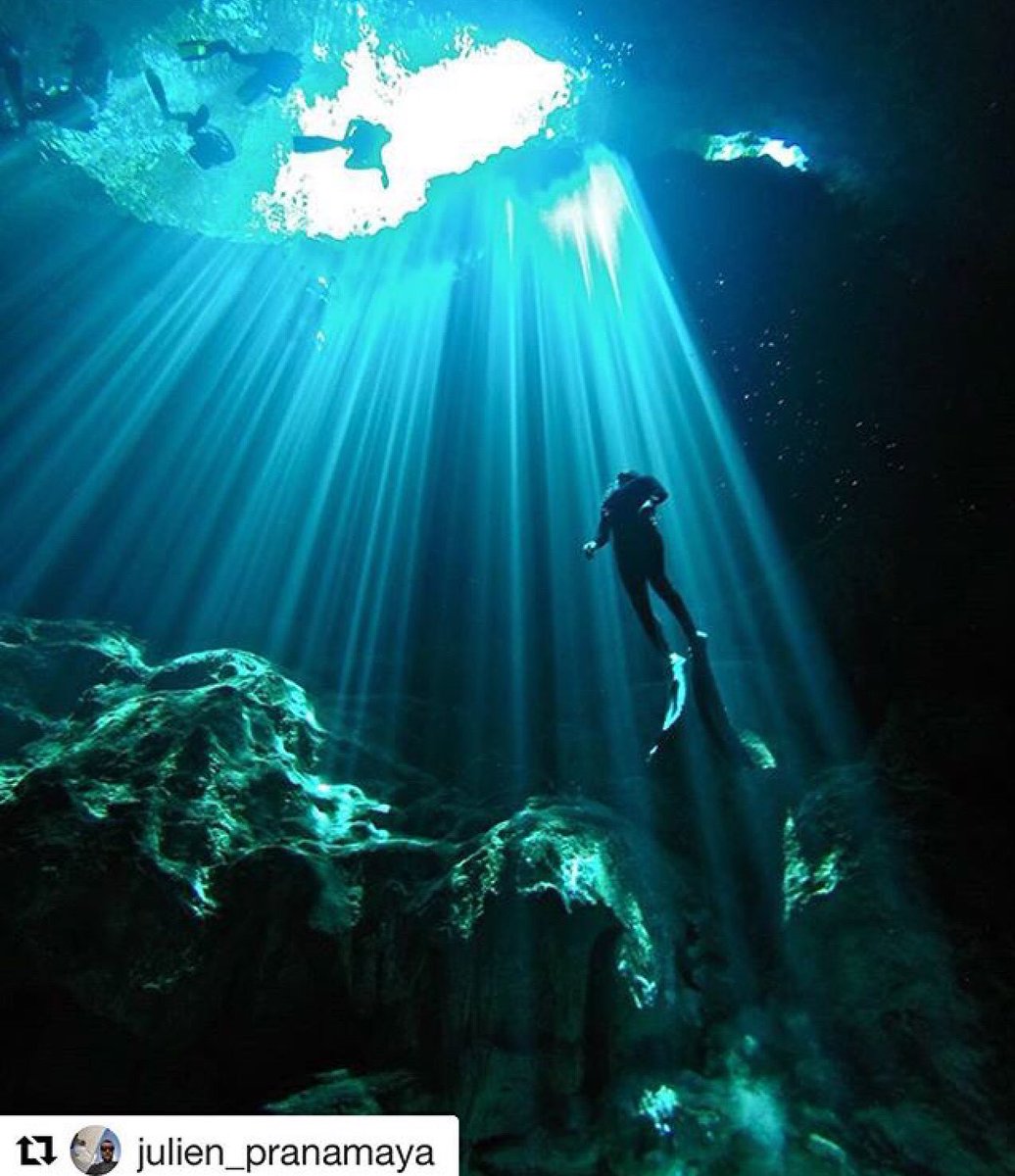 CarlosCoste1's tweet photo. Últimos 5 cupos para el Cenote Adventure!! Excursión de #freediving (multinivel) a los increíbles #Cenotes https://t.co/3W8Gk0iRh8 https://t.co/SXrVv5XQHp
