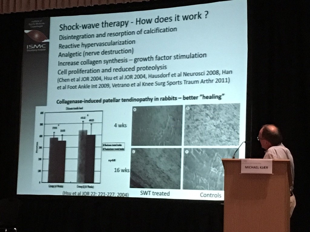 Increased collagen synthesis after shockwave in tendinopathy. @IOCprev2017 #iocatpc2016