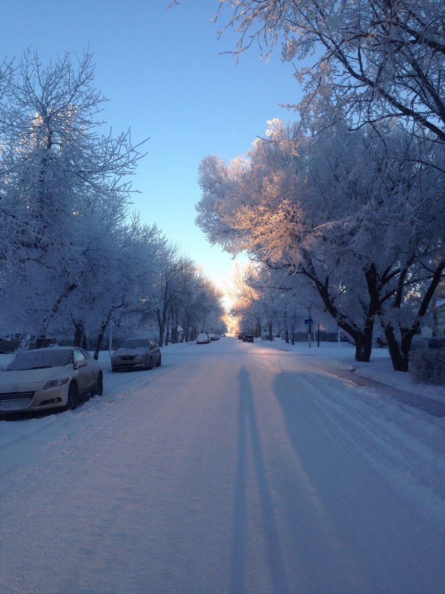 sadgirlnj's tweet image. 