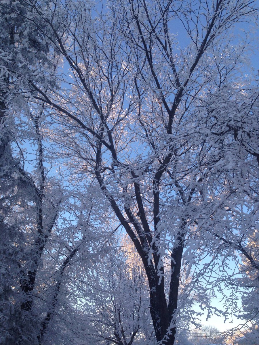 sadgirlnj's tweet image. 