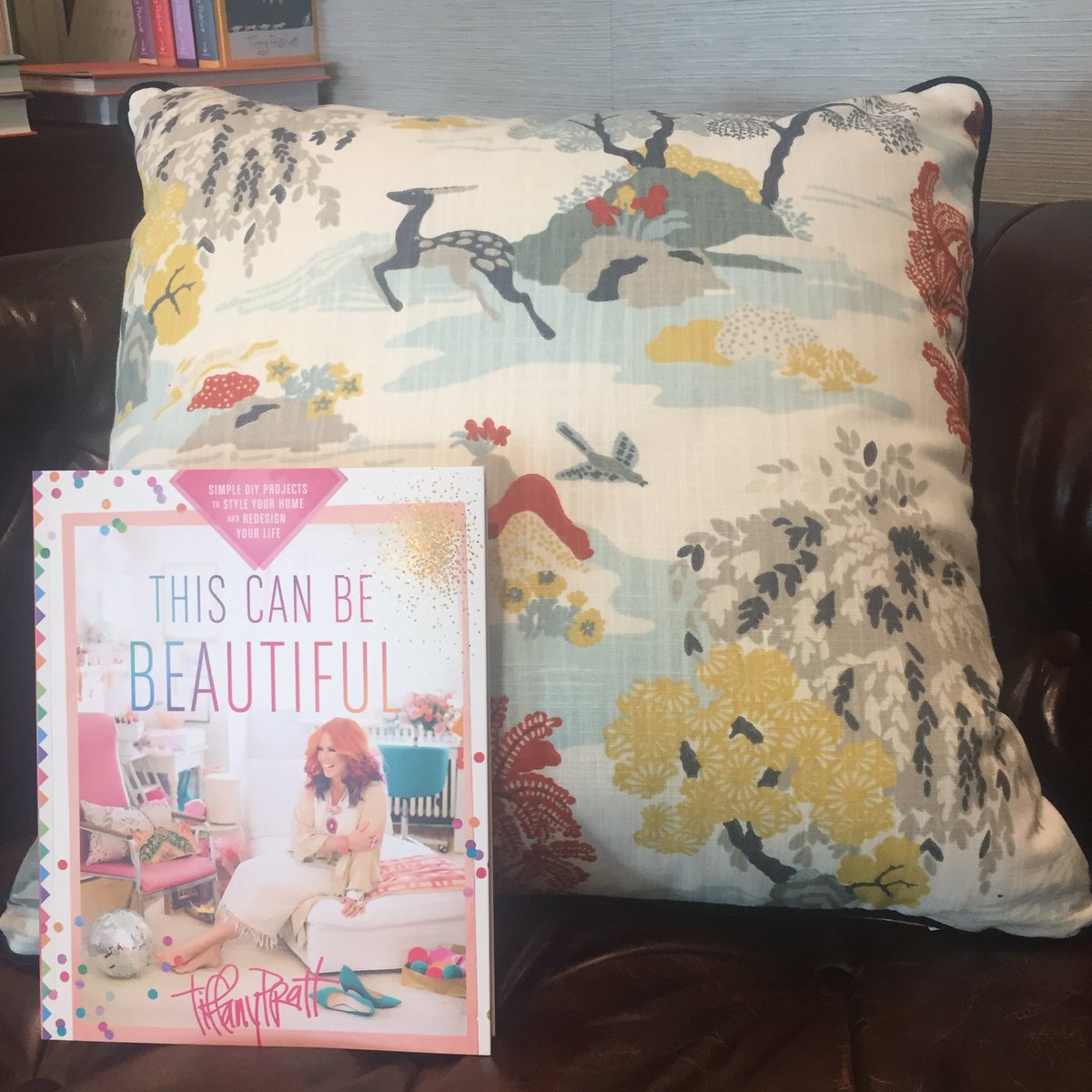RBradMartin's tweet photo. Amazing book to brighten any room.  Just check out my pillow!

#WeekendRead #ThisCanBeBeautiful @thetiffanypratt https://t.co/ibG9Ix7xp5